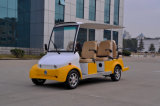 Electric Golf Car, Sightseeing Vehicle for 2 People (EQ8061) Yellow