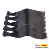Top Quality Wholesale Price Human Hair 100% Brazilian Virgin Hair