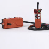 110V AC Customized F21-4s Radio Remote Control System for Hoists