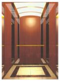 Machine Roomless Elevator (DAIS217)