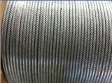 7*7 Hot Dipped Galvanized Steel Wire Rope