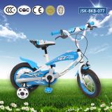 Wholesale Children Bicycle / Kids Bike in China for Sale