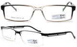 2012 New Models of Glasses Frames Spectacles Frame Famous Brands Glasses Frame Tr90 Optical Eyewear (BJ12-015)