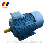 Y2 Induction Electric Motor in AC