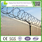 China Factory Galvanized Chain Wire Netting