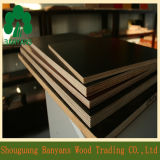 18mm Two Times Hot Pressed Black Film Faced Plywood