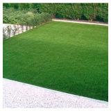 Artificial Grass for Landscaping Decoration
