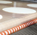 PTFE Glass Cloth Conveyor Belt