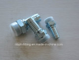 Bsp Male O-Ring Seal Fitting (P12211)
