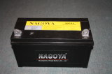Dry Battery ( N100, 95E41L, N100Z, N120A, 115E41)