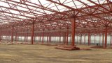 Painted Steel Structure Frame Building (KXD-SSB39)