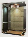 Hairline Stainless Steel Passenger Elevator with Good Price