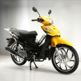 Motorcycle (SP110-CC)