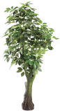 Wholesale Outdoor Artificial Trees Such as Money Tree 0423