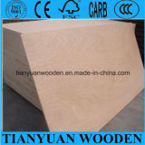 Eucalyptus Main Material Plywood Okoume Face Plywood
