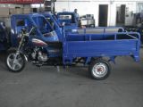 110CC Three Wheel Cargo Motorcycle (DF110ZH)