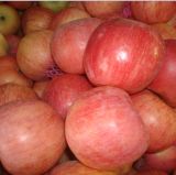 2015new Crop High Quality Fresh FUJI Apple