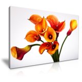Beautiful Flower Canvas Printed Painting Forwall Decoration