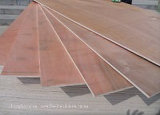6mm Two Miscellaneous Tree Surfaces Packing Plywood