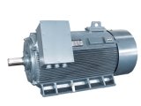 Low Voltage High Output Electric Motor 630kw-6