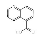 High Purity Quinoline-5-Carboxylic Acid Powder 7250-53-5