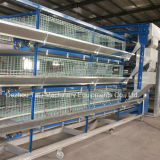 Automatic H Type 3 Tiers Pulletpoultry Farm Cage for Chicken