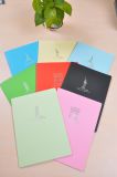 Colored Paper Notebook (A532)