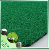PP Golf Sport Artificial Grass (SGQD-C10R29PM)