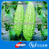 100% Natural and High Quality Bitter Melon Extract