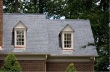 European Style Natural Slate Roof