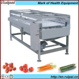 Commercial Vegetable and Fruit Washing Machine