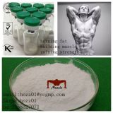 High Purity Chemical Anabolic Hormone Fitness Steroid Powder Testosterone Propionate for Weight Loss