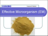 Compound Probiotics Effective Microorganism (EM)