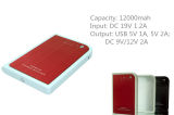 12000mAh High Capacity Portable Power Bank for iPad (YR120)