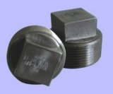 Forged Steel Pipe Fitting - Square Head Plug