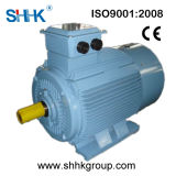 Ie2 Three Phase Electric Motor 8kw