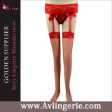 Lace Garter Belt Panties & Sheer Stockings Set for Women's (DY01-010)