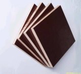Melamine Glue Poplar Film Faced Plywood (15mm)