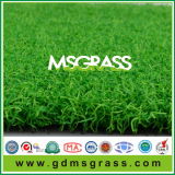 Msg Multi-Function Sports Artificial Grass (JSQD-C12C27PG)