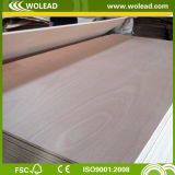 Full Popar Core Commercial Plywood Birch Plywood for Furniture, Decoration, Packing (w14170)