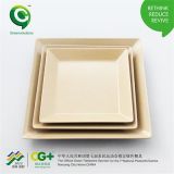 Simple Square Plate Food Plate Eco-Friendly Plant Fiber Plate