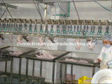 Poultry Equipment for Slaughterhouse
