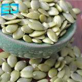 High Quality Shine Skin Pumpkin Seeds Kernels From China