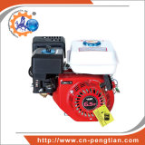 Quality Guaranteed 6.5HP Gasoline Engine for Water Pump