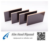 Black/Brown Film Faced Shuttering Construction Plywood