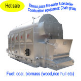 Chain Grate Coal Boiler/Steam Boiler