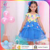 Stage Girl Dress, Baby Child Flower Dress in Children's Apparel