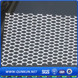 ISO Plastic Wire Netting (Factory)