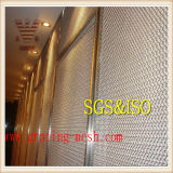 Galvanized Chain Link Chain Link Wire Mesh (factory)