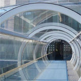 Curved Tempered Laminated Glass for Building Decoration